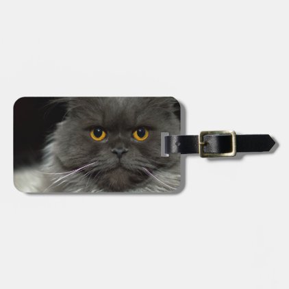 cat bag tag