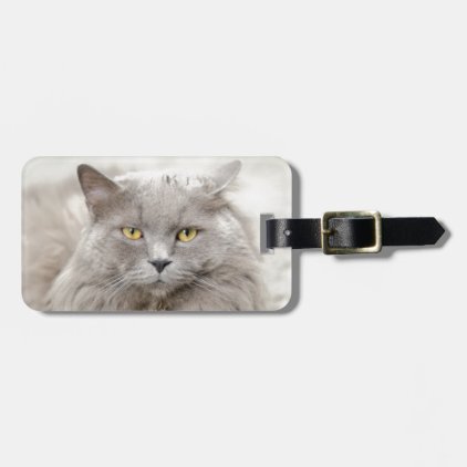 cat bag tag