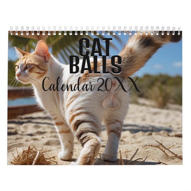 Cat Balls 2026 Funny Calendar (Cover)