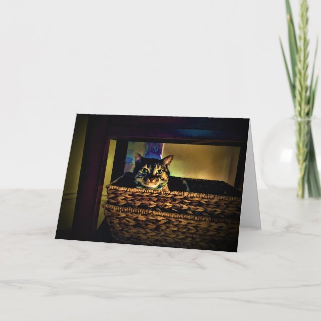 Cat Basket, card (Front)