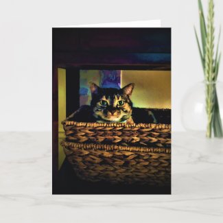 Cat Basket, card