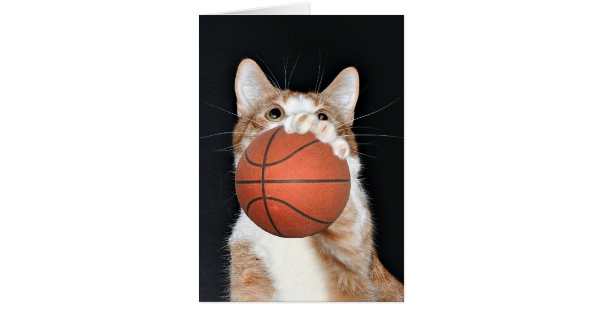 Cat basketball card