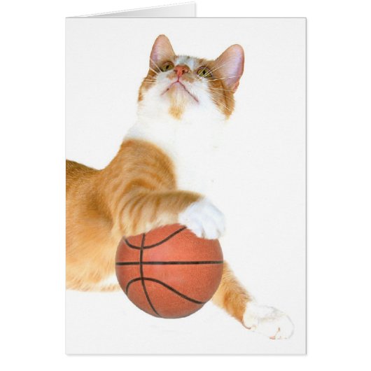 Cat basketball cards (Front)