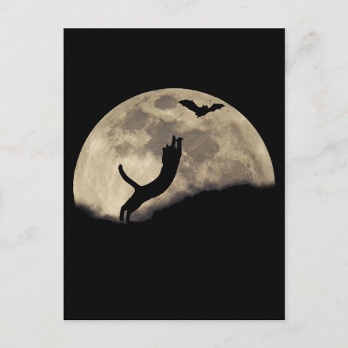 Cat Bat Moon Postcard