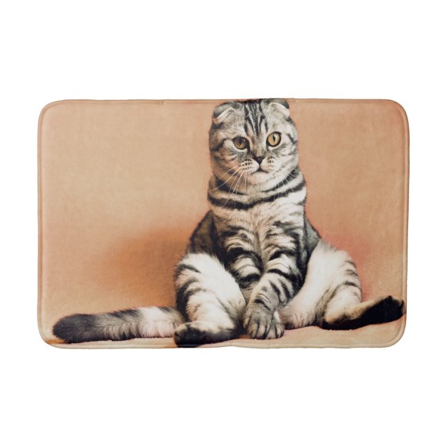 Cat Bath Mat (Front)
