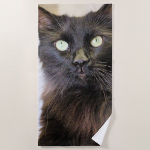 Cat  beach towel