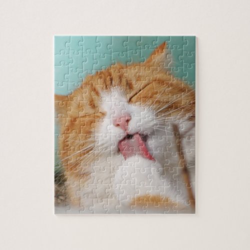 Cat beautiful photo jigsaw puzzle