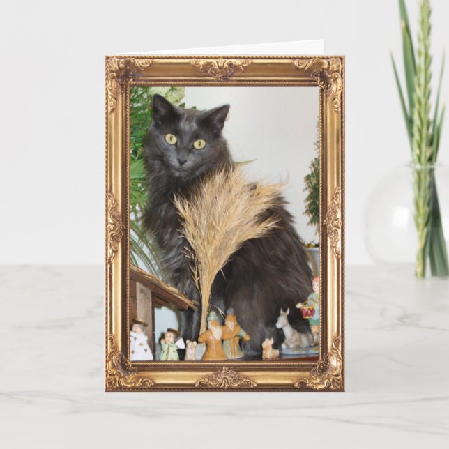 Cat behind the nativity set holiday card (Front)