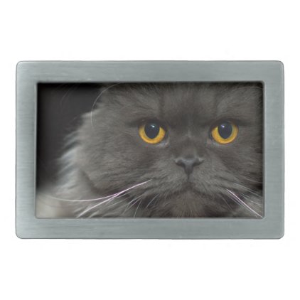 cat belt buckle