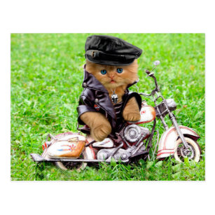 Funny Motorbike Postcards No Minimum Quantity Zazzle