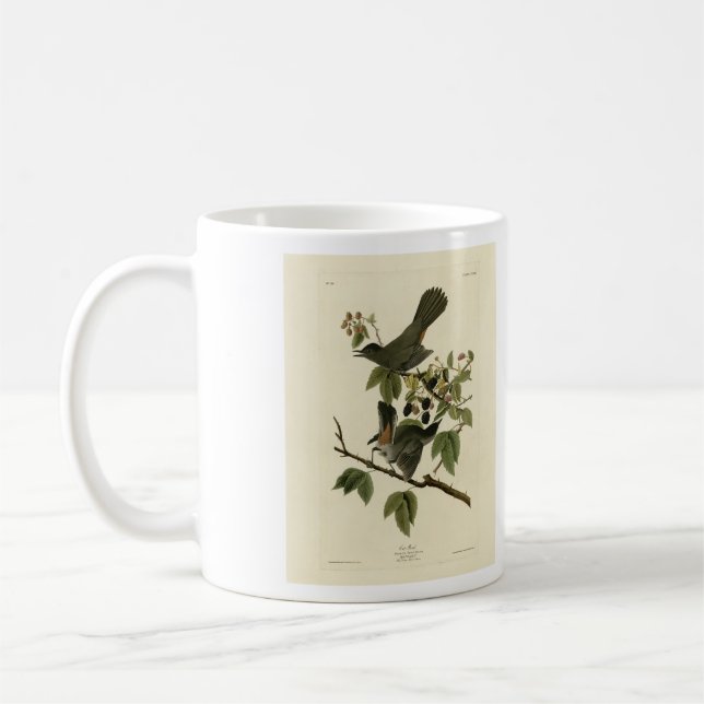 Cat Bird (Gray Catbird) Audubon's Birds of America Coffee Mug (Left)