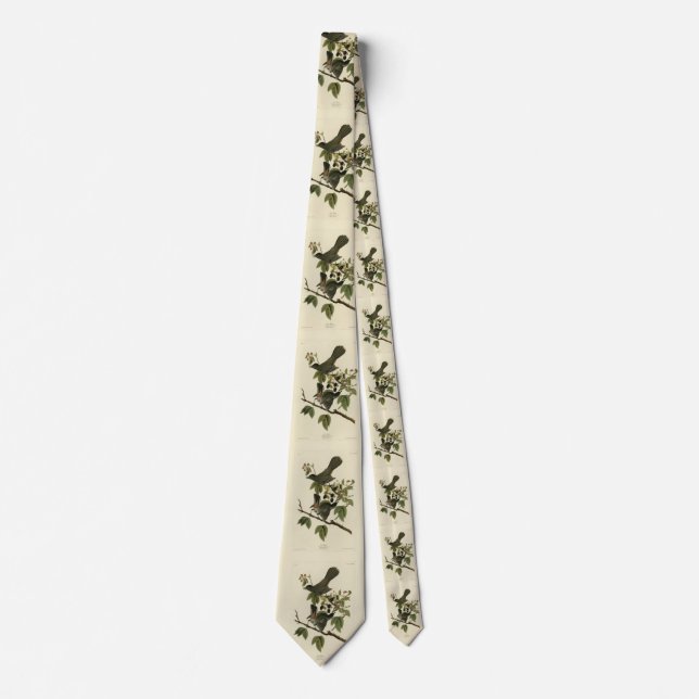 Cat Bird (Gray Catbird) Audubon's Birds of America Neck Tie (Front)