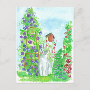 Cat Bird House Hollyhocks Summer Garden Flowers Postcard