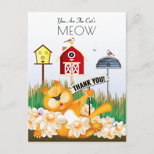 Cat Birds Garden Thank You Postcard