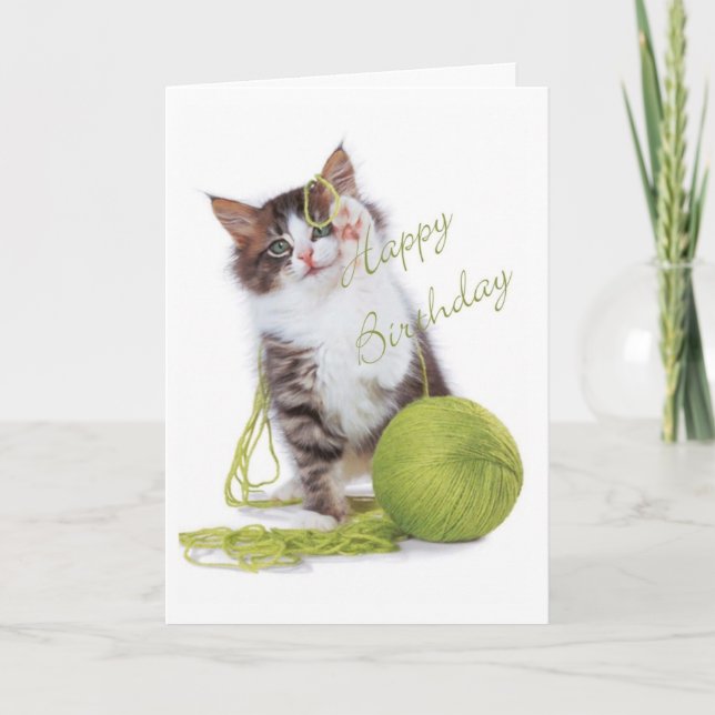 Cat Birthday Card (Front)