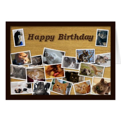 Cat Birthday Card