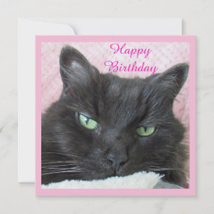 Cat Birthday Card