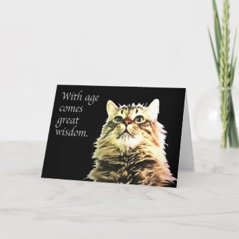 Cat Birthday Card by FXtions at Zazzle