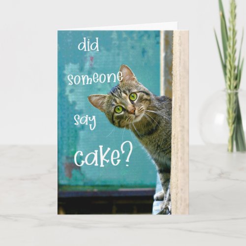 Cat Birthday Funny Did Someone Say Cake Card