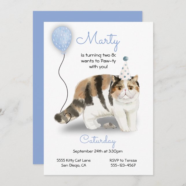 Cat Birthday Party Invitation (Front/Back)
