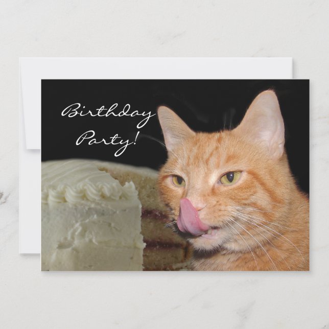 Cat Birthday Party Invitation (Front)