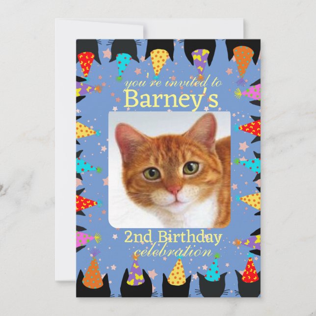 Cat Birthday Party Photo Invitation (Front)