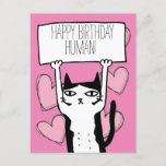 Cat Birthday Postcard