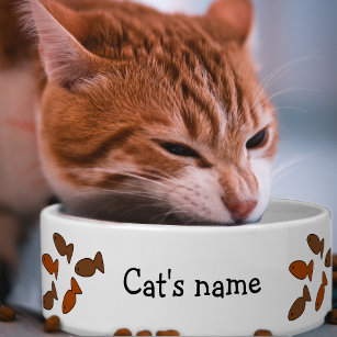Cat Biscuit Treats Fun Crunchies with Kitty Name  Bowl