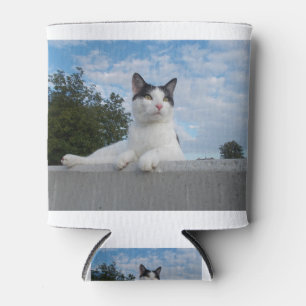 Cat Black And White Domestic Cat Pet Animal Can Cooler