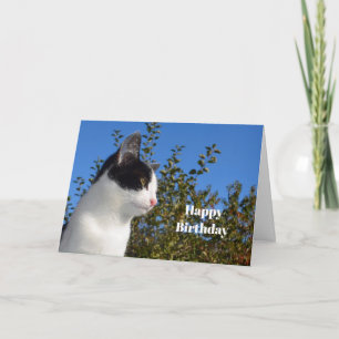 Cat Black and White Profile Photo Birthday Card