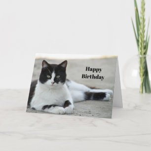 Cat Black and White Tuxedo Photo Birthday Card