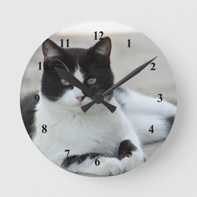 Cat Black and White Tuxedo Photo Round Clock (Front)