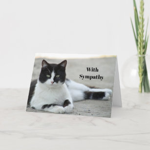 Cat Black and White Tuxedo Photo Sympathy Card