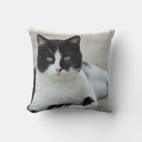 Cat Black and White Tuxedo Photo Throw Pillow