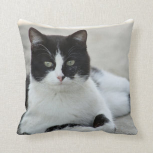 Cat Black and White Tuxedo Photo Throw Pillow