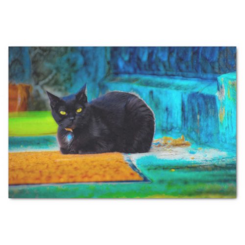 Cat Black Cute Colorful Blue Orange Decoupage Tissue Paper