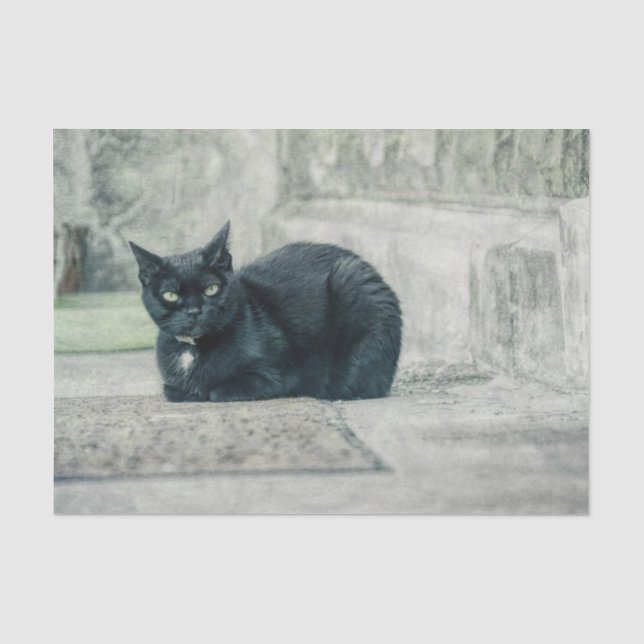 Cat Black Cute Vintage Antique Decoupage Tissue Paper (Front)