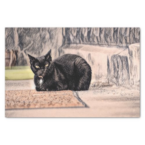 Cat Black Cute Vintage Antique Sketch Art Tissue Paper