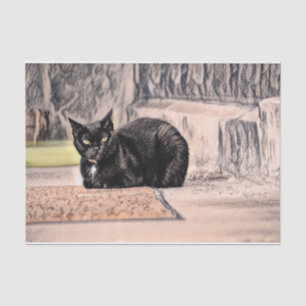 Cat Black Cute Vintage Antique Sketch Art Tissue Paper