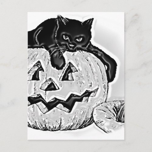 Cat Black Orange Pumpkin Halloween Postcard
