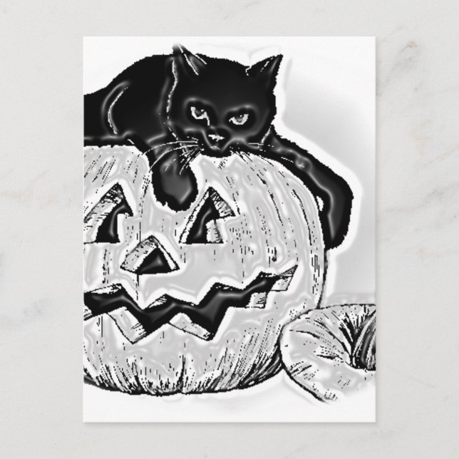 Cat Black Orange Pumpkin Halloween Postcard (Front)