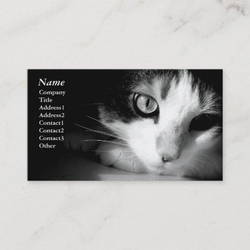 Cat black&amp;white - Business cards