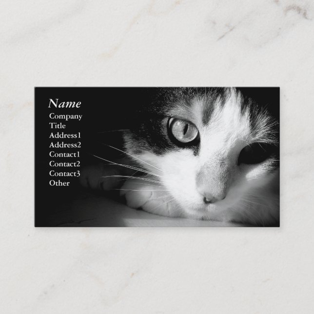 Cat black&white - Business cards (Front)