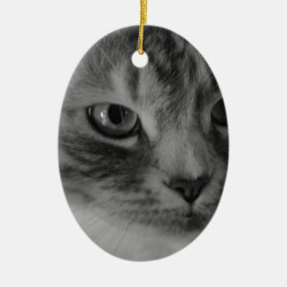 Cat (Black & White) Christmas Ornaments