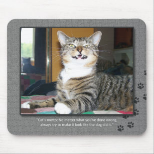 Funny Cat Quotes Mouse Pads Zazzle