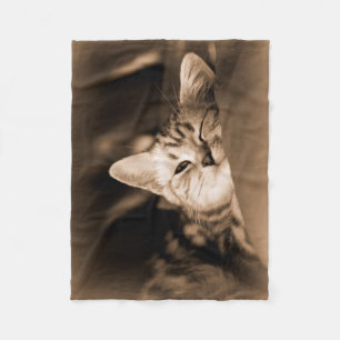cat blanket