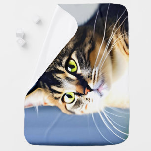 cat blanket