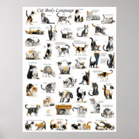 Cat Body Language