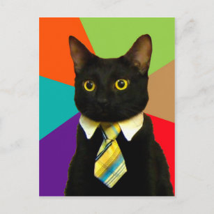 Cat-boss in tie postcard