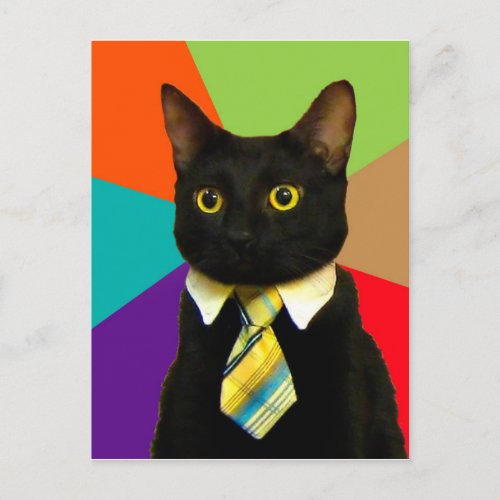 Cat_boss in tie postcard